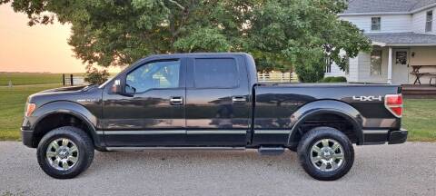 2011 Ford F-150 for sale at ARK AUTO LLC in Roanoke IL