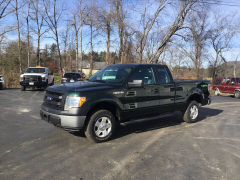 2013 Ford F-150 for sale at AFFORDABLE AUTO SVC & SALES in Bath NY