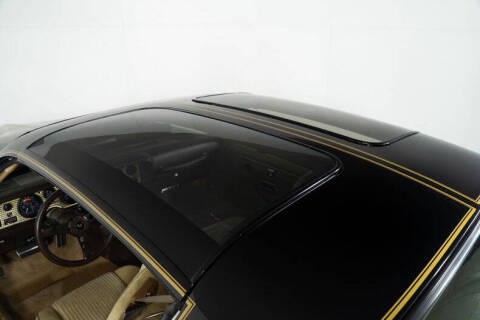 1981 Pontiac Trans Am