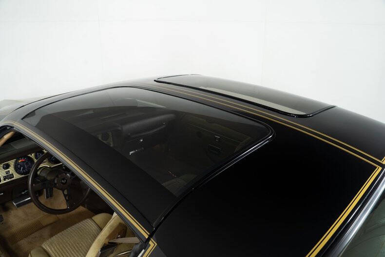 1981 Pontiac Trans Am