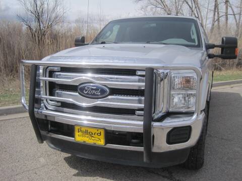 2015 Ford F-250 Super Duty for sale at Pollard Brothers Motors in Montrose CO