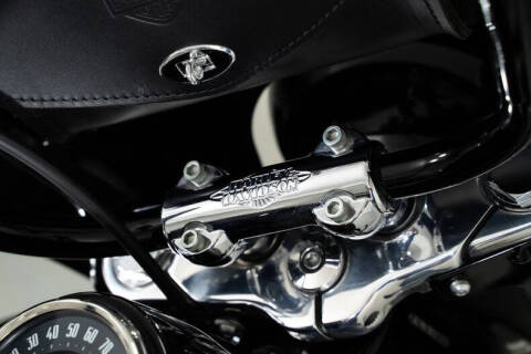 2019 Harley-Davidson Heritage Softail Classic