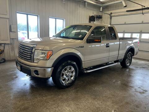 2010 Ford F-150 for sale at Sand's Auto Sales in Cambridge MN