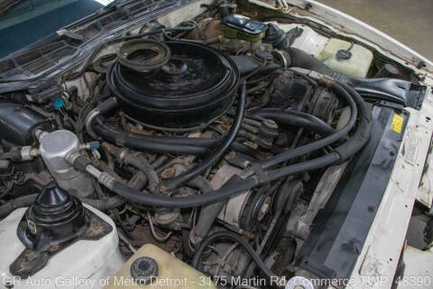 1984 Pontiac Firebird Trans Am