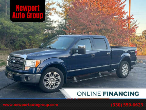 2009 Ford F-150 for sale at Newport Auto Group in Boardman OH