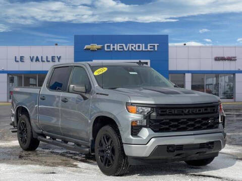 2023 Chevrolet Silverado 1500 for sale at LeValley Chevrolet gmc in Benton Harbor MI