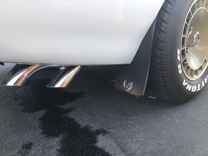 1981 Pontiac Firebird Trans Am