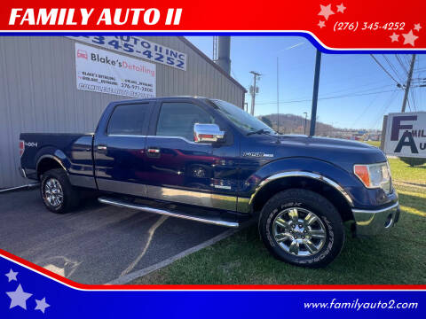 2011 Ford F-150 for sale at FAMILY AUTO II in Pounding Mill VA