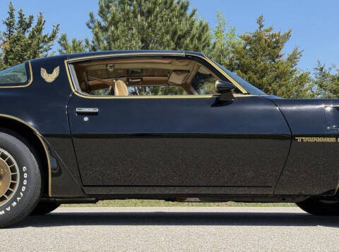 1981 Pontiac Firebird Trans Am