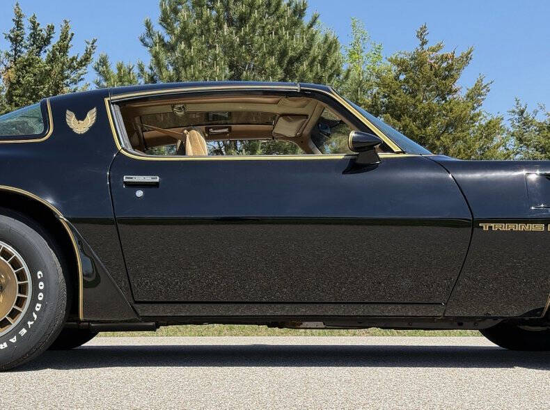 1981 Pontiac Firebird Trans Am