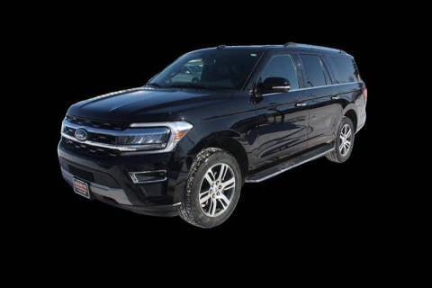 2022 Ford Expedition MAX for sale at Schmitz Motor Co Inc in Perham MN