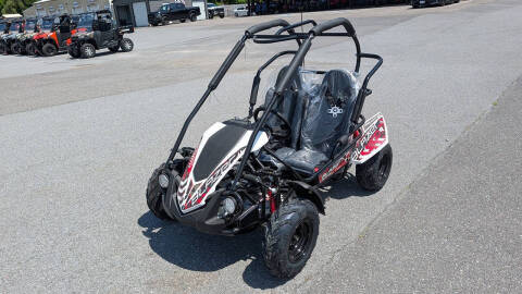 2026 TrailMaster Blazer 200R