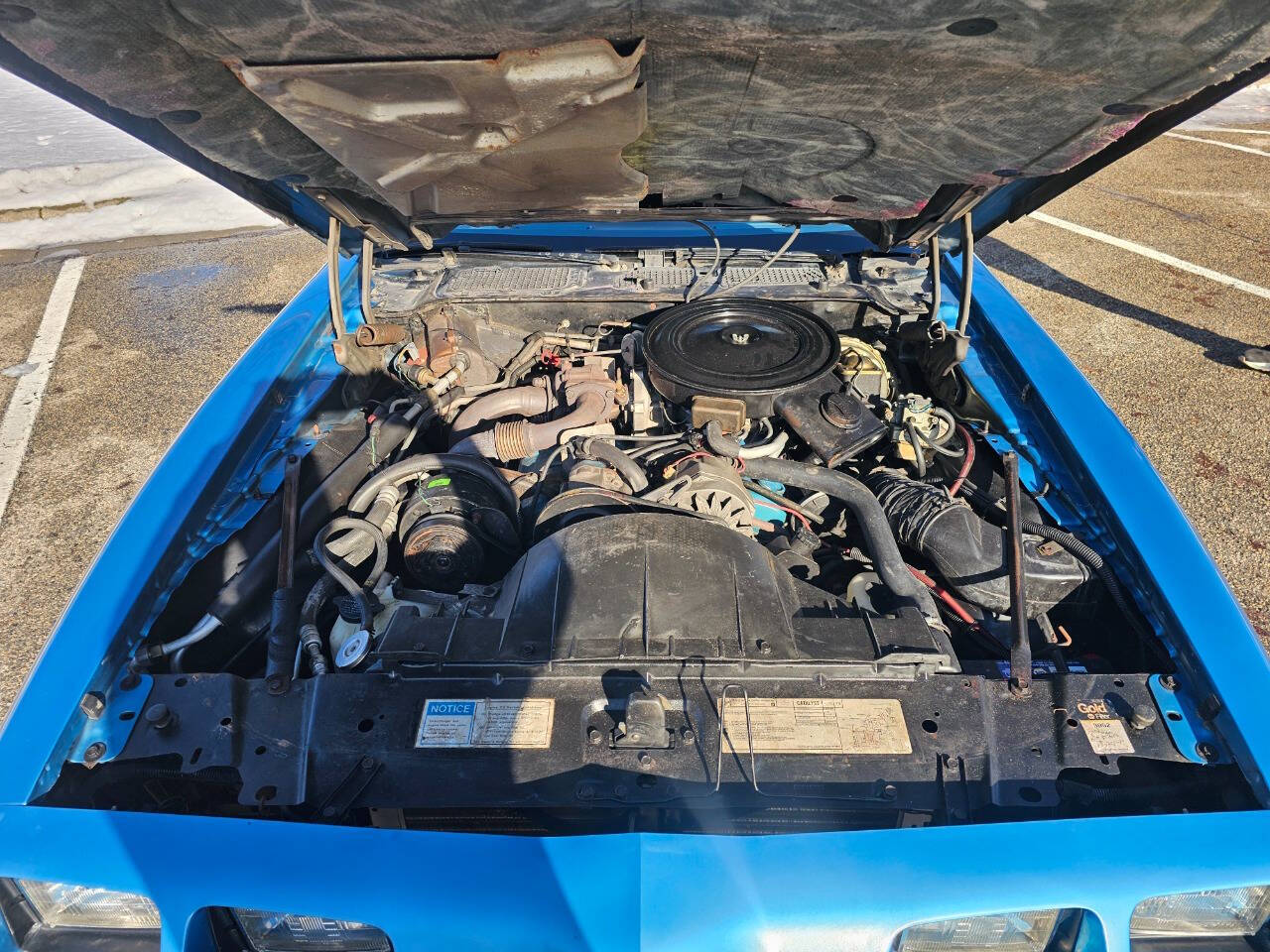 1980 Pontiac Firebird Trans Am 33