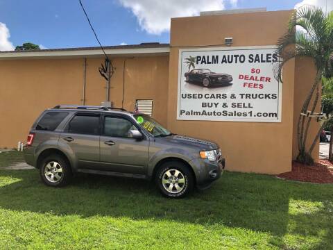 2010 Ford Escape for sale at Palm Auto Sales in West Melbourne FL