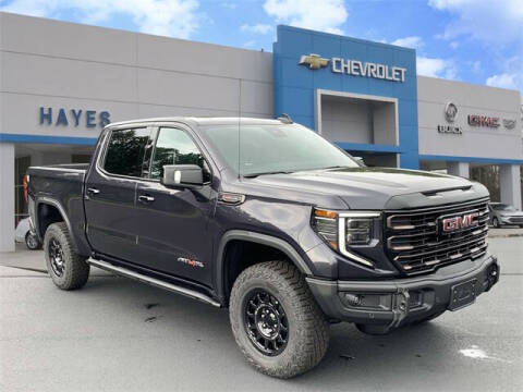 2024 GMC Sierra 1500 for sale at HAYES CHEVROLET Buick GMC Cadillac Inc in Alto GA