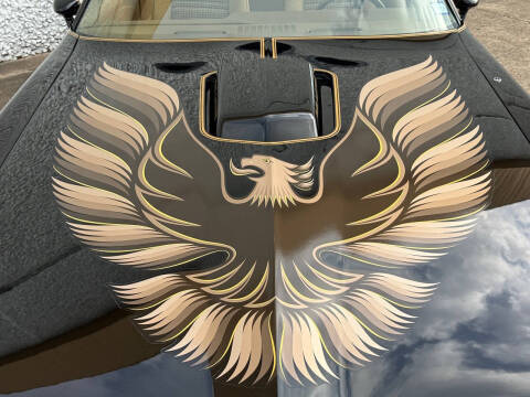 1979 Pontiac Firebird Trans Am