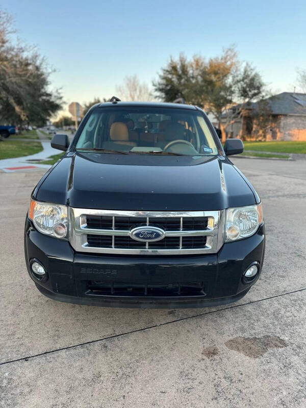 2009 Ford Escape XLT