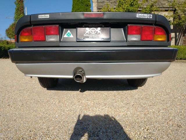 1986 Alfa Romeo Spider Veloce