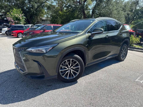 2025 Lexus NX 250