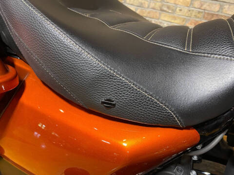 2019 Harley-Davidson Road Glide® Special