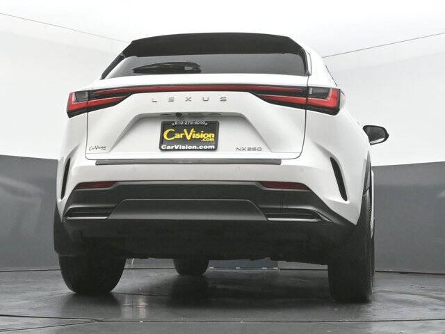 2025 Lexus NX 250