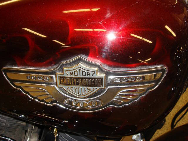 2003 Harley-Davidson Softail®