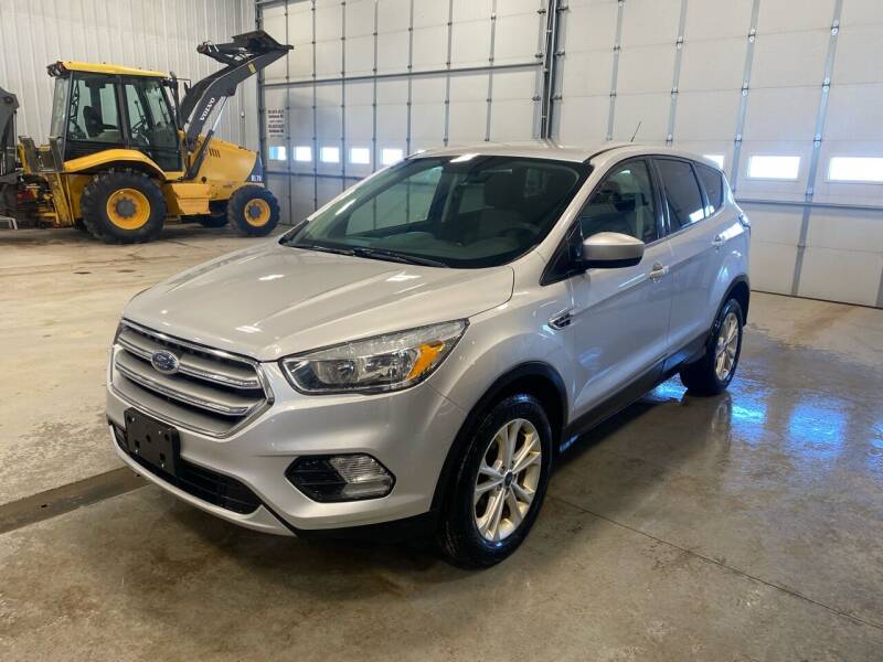 2017 Ford Escape for sale at RDJ Auto Sales in Kerkhoven MN