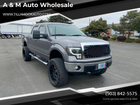 2013 Ford F-150 for sale at A & M Auto Wholesale in Tillamook OR