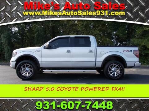 2013 Ford F-150 for sale at Mike's Auto Sales in Shelbyville TN