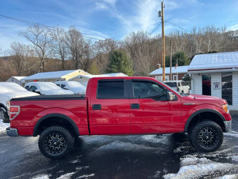 2012 Ford F-150