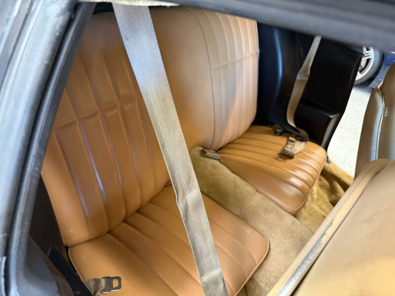 1981 Pontiac Firebird Trans Am