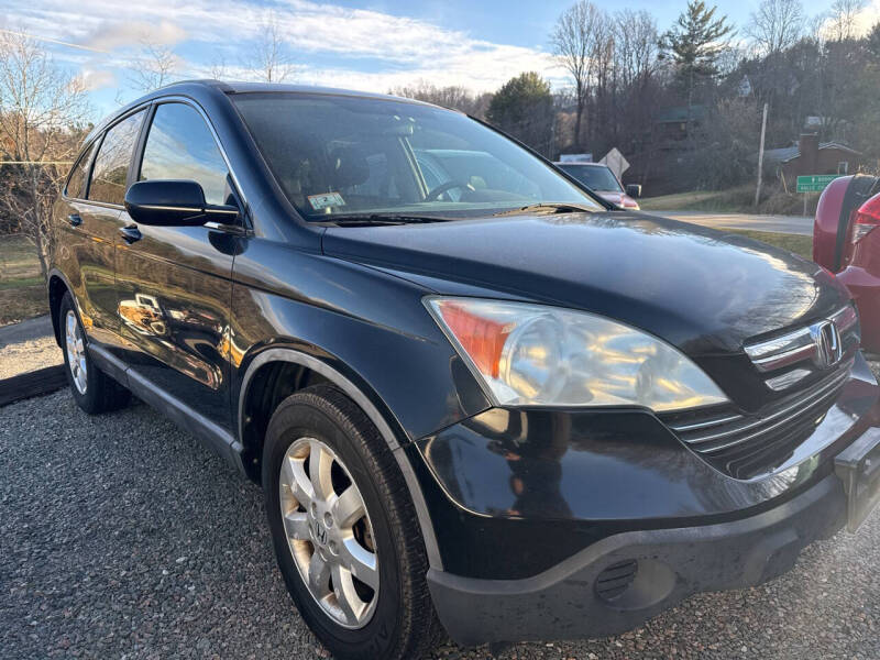 2009 Honda CR-V for sale at R C MOTORS in Vilas NC