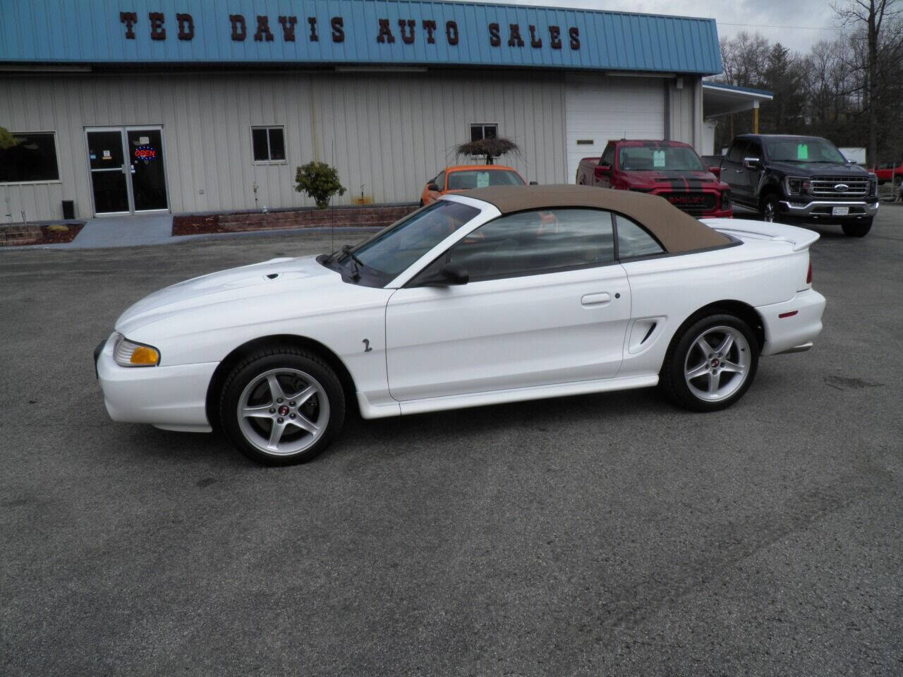 1997 Ford Mustang Svt Cobra For Sale In Leominster Ma ® 9513