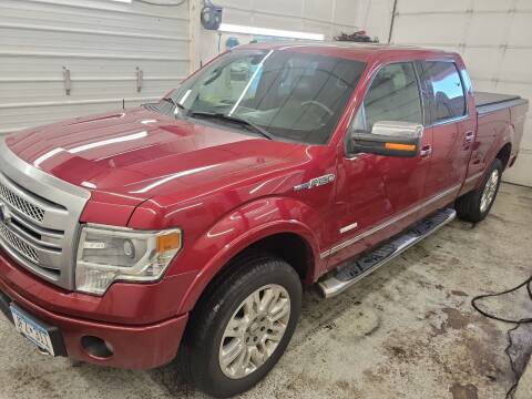 2014 Ford F-150 for sale at Jem Auto Sales in Anoka MN