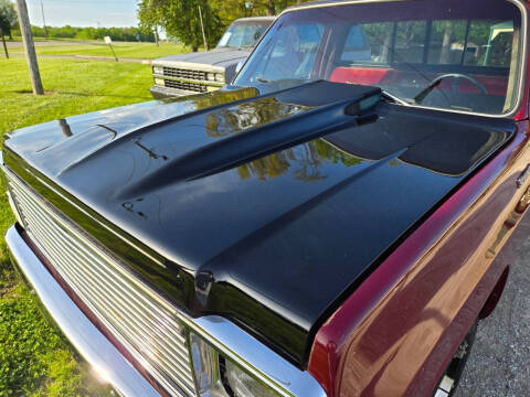 1980 Chevrolet C/K 10 Series