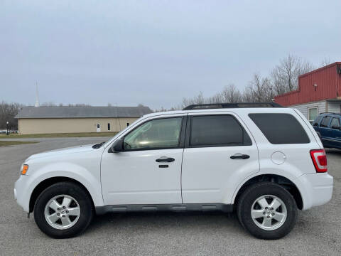 2010 Ford Escape XLT