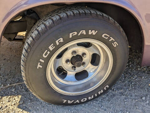 1955 Dodge D100 Pickup