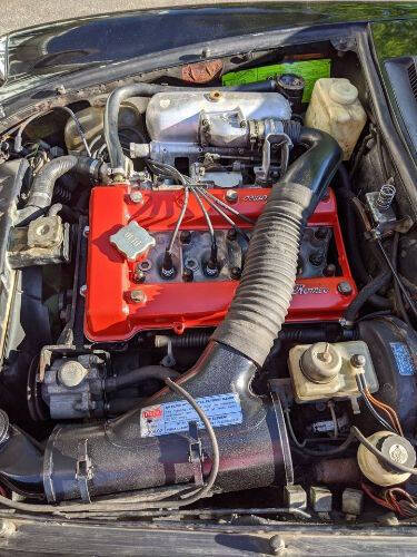 1981 Alfa Romeo Spider Veloce