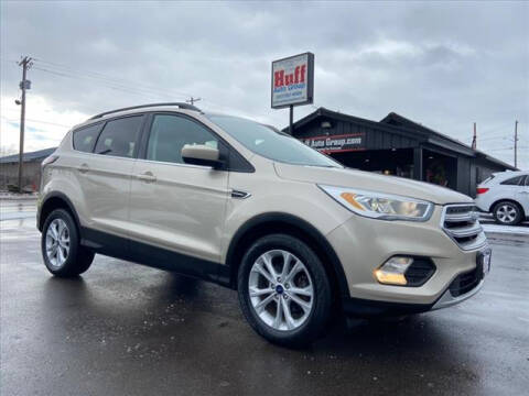 2017 Ford Escape for sale at HUFF AUTO GROUP in Jackson MI