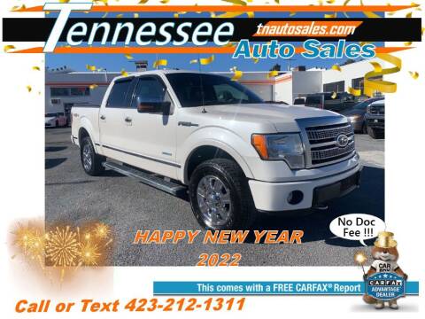 2012 Ford F-150 for sale at Tennessee Auto Sales in Elizabethton TN