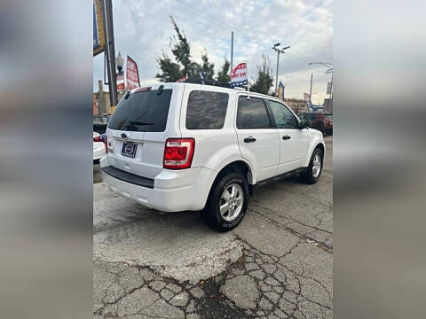2011 Ford Escape XLT