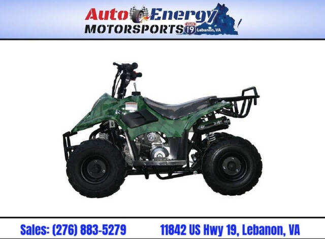 Trailmaster Mini 110cc Sport Image