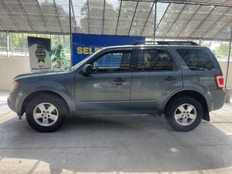 2010 Ford Escape XLT