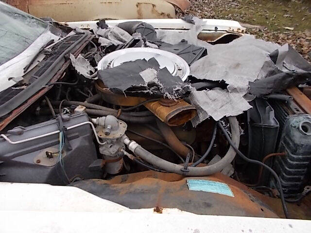 1976 Chevrolet Caprice