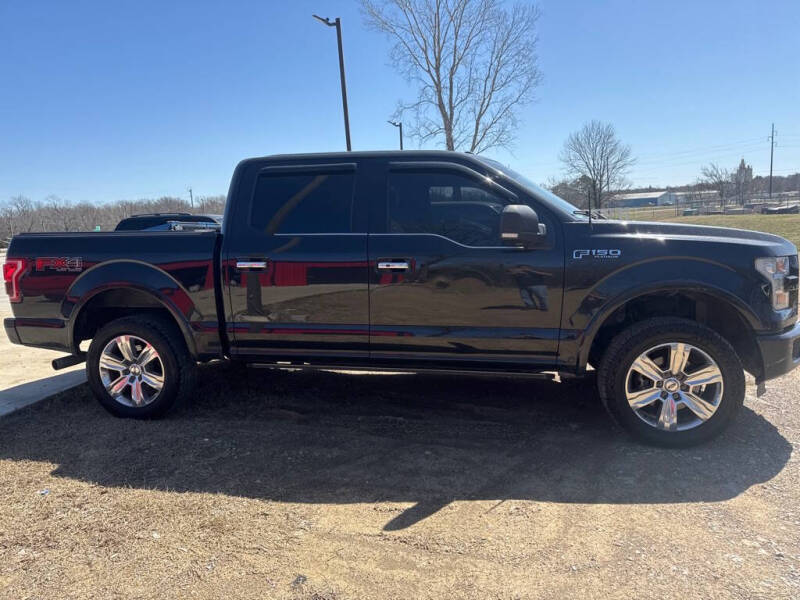 2015 Ford F-150 Platinum's photo