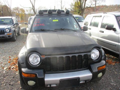 2003 Jeep Liberty for sale at FERNWOOD AUTO SALES in Nicholson PA