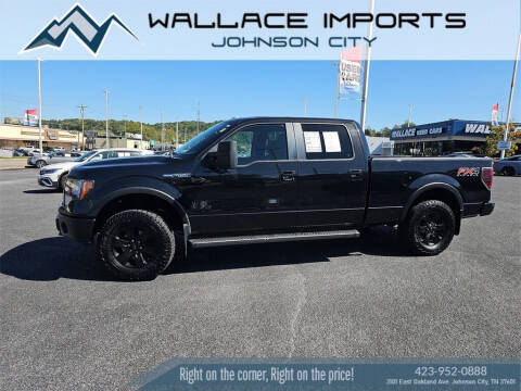 2013 Ford F-150 for sale at WALLACE IMPORTS OF JOHNSON CITY in Johnson City TN