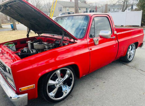 1981 Chevrolet C/K 10 Series for sale at Classic Car Deals in Cadillac MI
