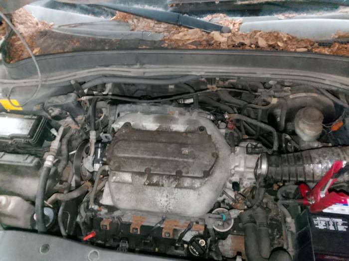 2007 Honda Pilot LX