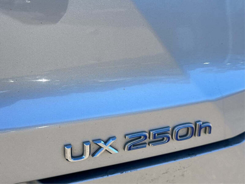 2019 Lexus UX 250h F SPORT